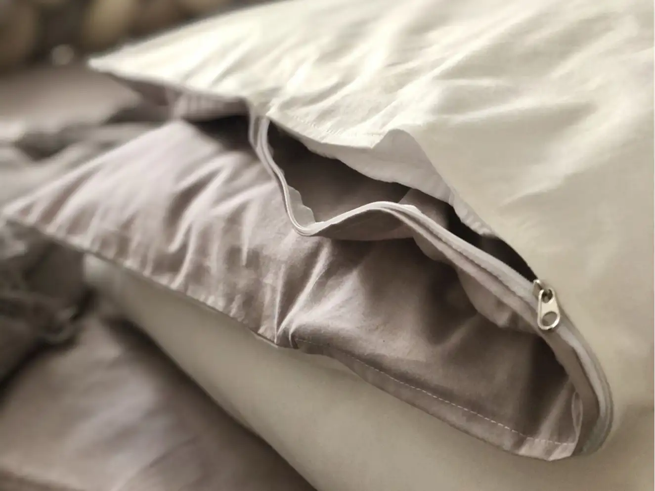 Комплект постільної білизни підліток поплін сірий/молоко