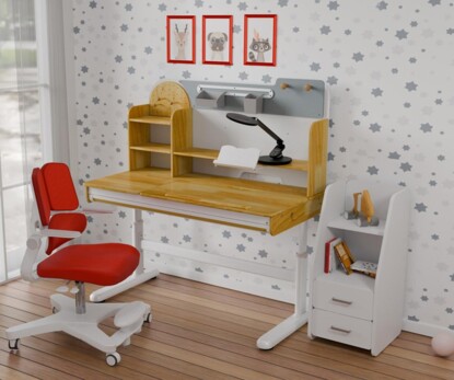 Дитячий стіл Mealux Timberdesk L