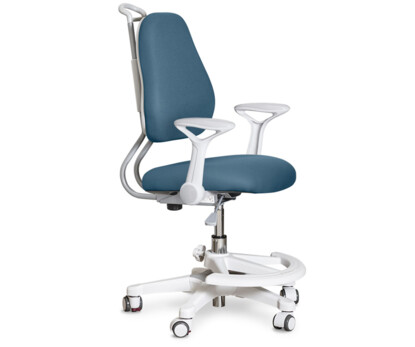 Дитяче крісло Evo-Kids Mio Ergo (Y-507)