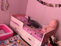 Владислава